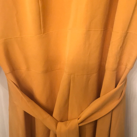 Mustard Dress - Picture 4 of 6